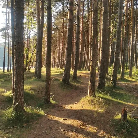 Apartman I Lyngdal